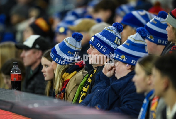 AFL 2024 Round 13 - Adelaide v Richmond - A-50282782