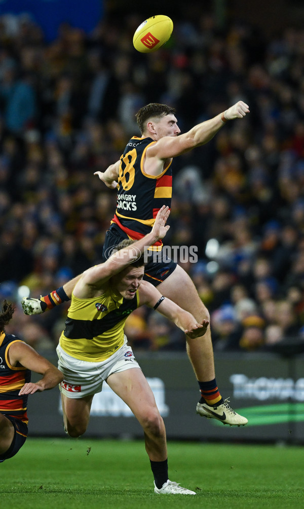 AFL 2024 Round 13 - Adelaide v Richmond - A-50282783