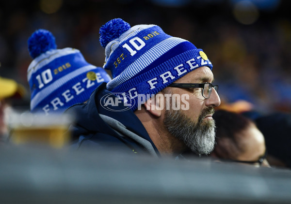 AFL 2024 Round 13 - Adelaide v Richmond - A-50282784