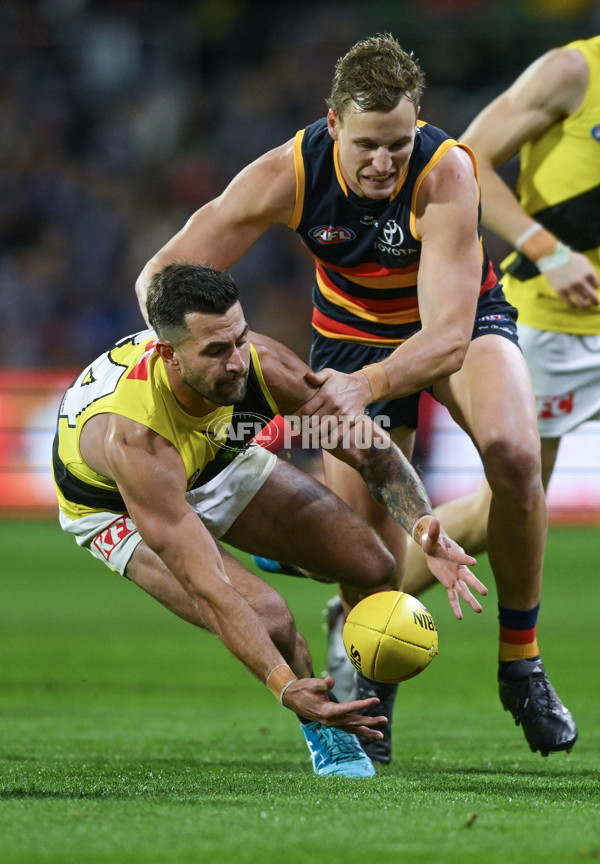 AFL 2024 Round 13 - Adelaide v Richmond - A-50282788