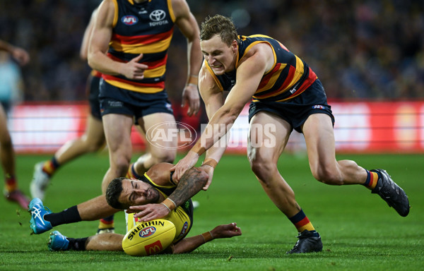 AFL 2024 Round 13 - Adelaide v Richmond - A-50332846