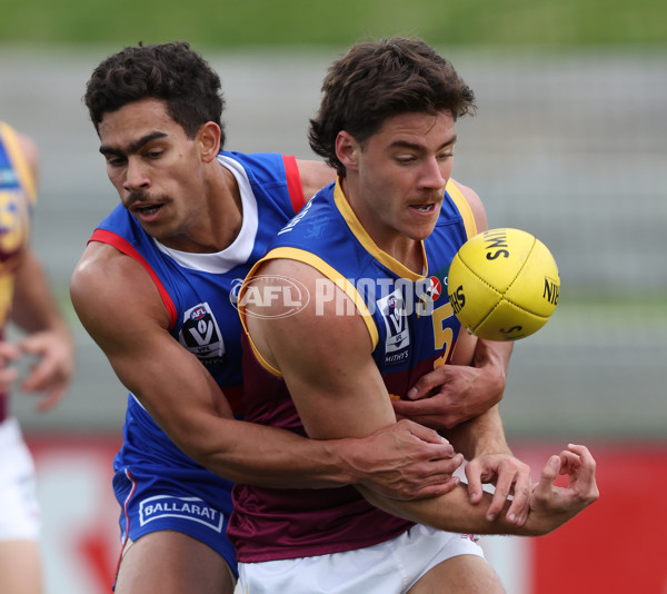 VFL 2024 Round 11 - Footscray v Brisbane - A-50605658