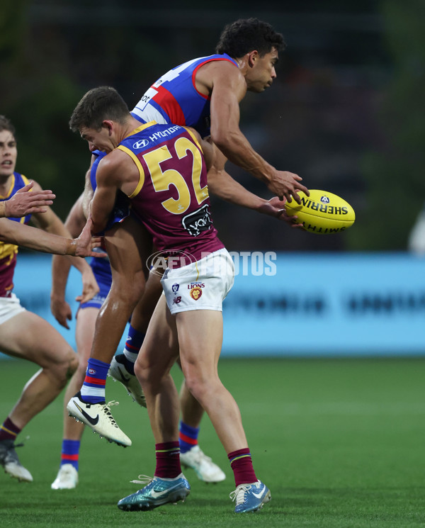 VFL 2024 Round 11 - Footscray v Brisbane - A-50618023