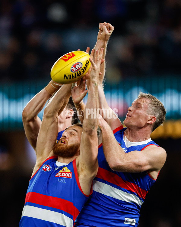 AFL 2024 Round 13 - Western Bulldogs v Brisbane - A-50619366