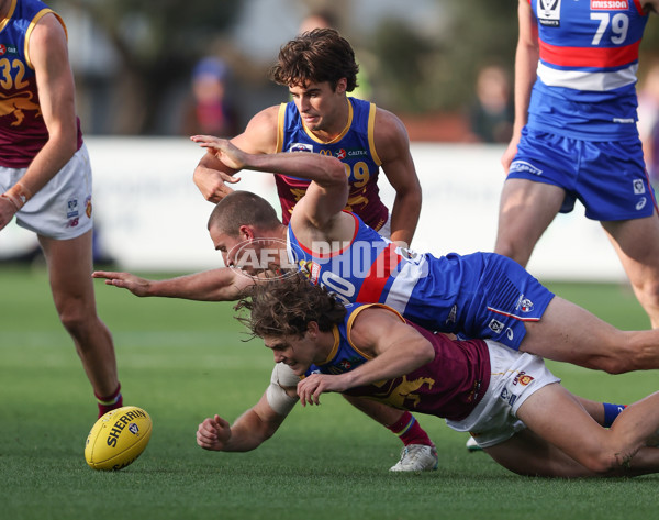 VFL 2024 Round 11 - Footscray v Brisbane - A-50624118