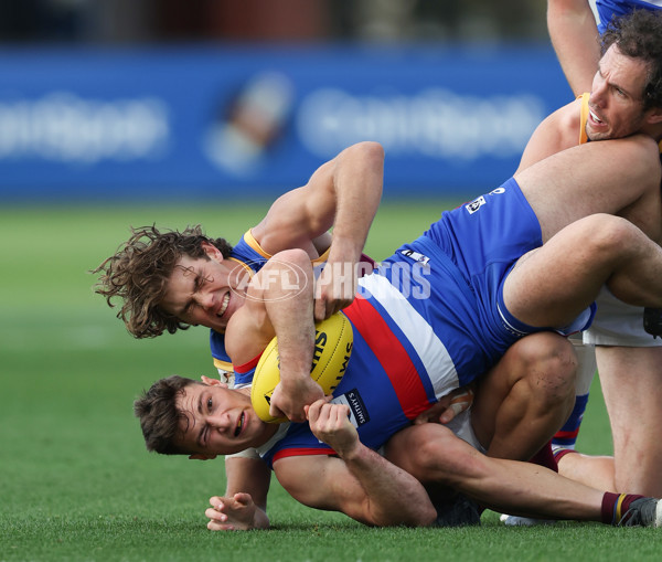 VFL 2024 Round 11 - Footscray v Brisbane - A-50628282