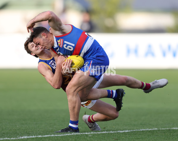 VFL 2024 Round 11 - Footscray v Brisbane - A-50628356