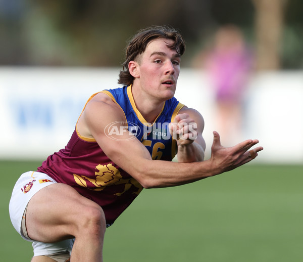 VFL 2024 Round 11 - Footscray v Brisbane - A-50629938