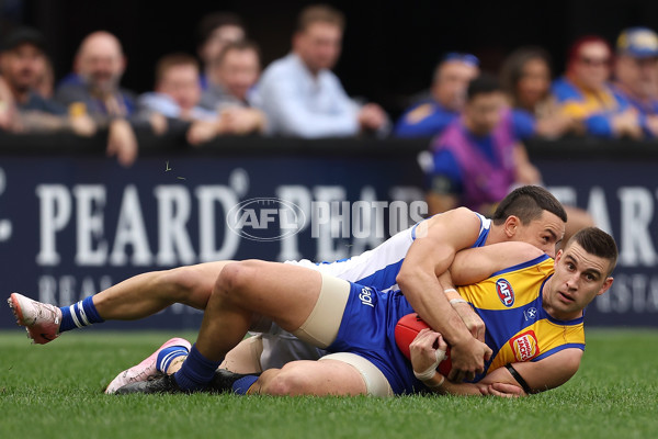 AFL 2024 Round 13 - West Coast v North Melbourne - A-50663066