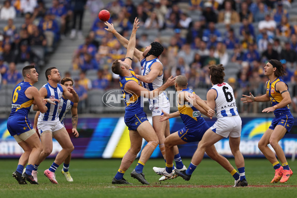 AFL 2024 Round 13 - West Coast v North Melbourne - A-50663067