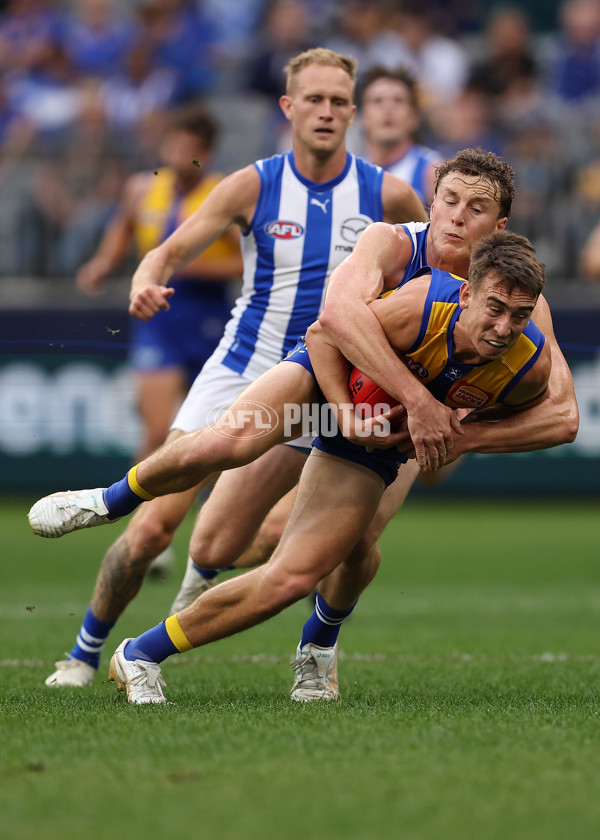 AFL 2024 Round 13 - West Coast v North Melbourne - A-50664457