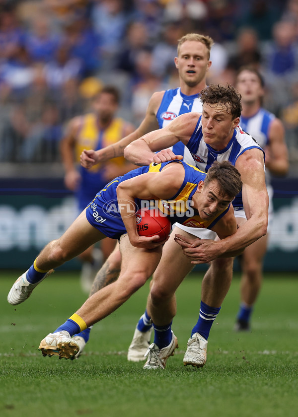 AFL 2024 Round 13 - West Coast v North Melbourne - A-50664458