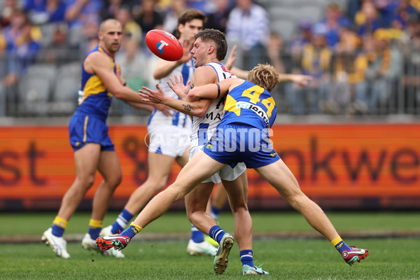 AFL 2024 Round 13 - West Coast v North Melbourne - A-50667014