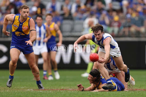 AFL 2024 Round 13 - West Coast v North Melbourne - A-50667035