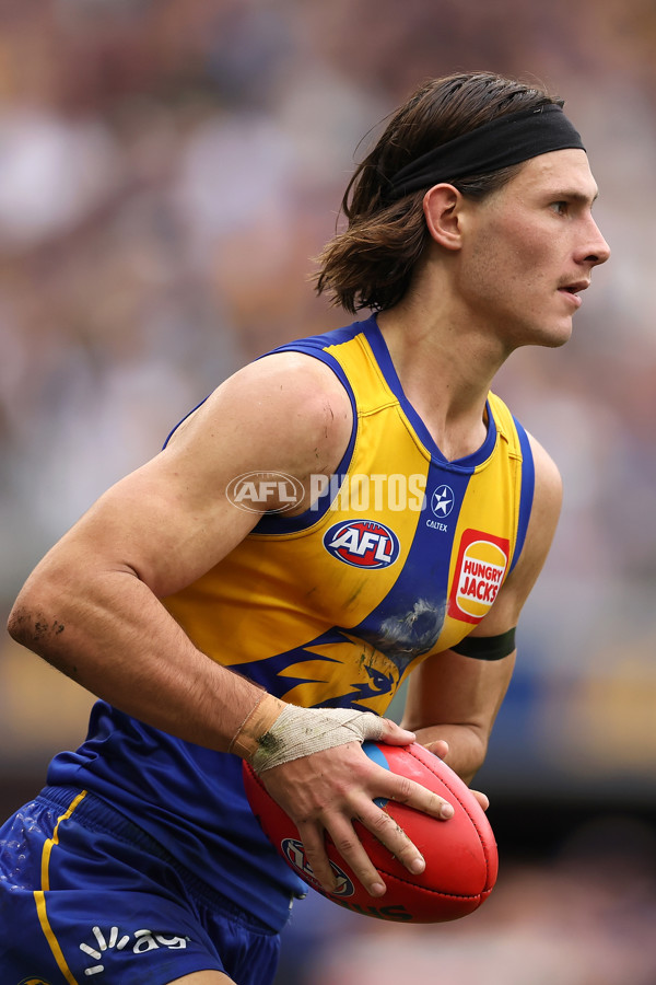 AFL 2024 Round 13 - West Coast v North Melbourne - A-50667036