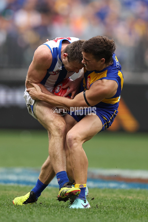 AFL 2024 Round 13 - West Coast v North Melbourne - A-50668274