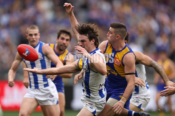 AFL 2024 Round 13 - West Coast v North Melbourne - A-50668301