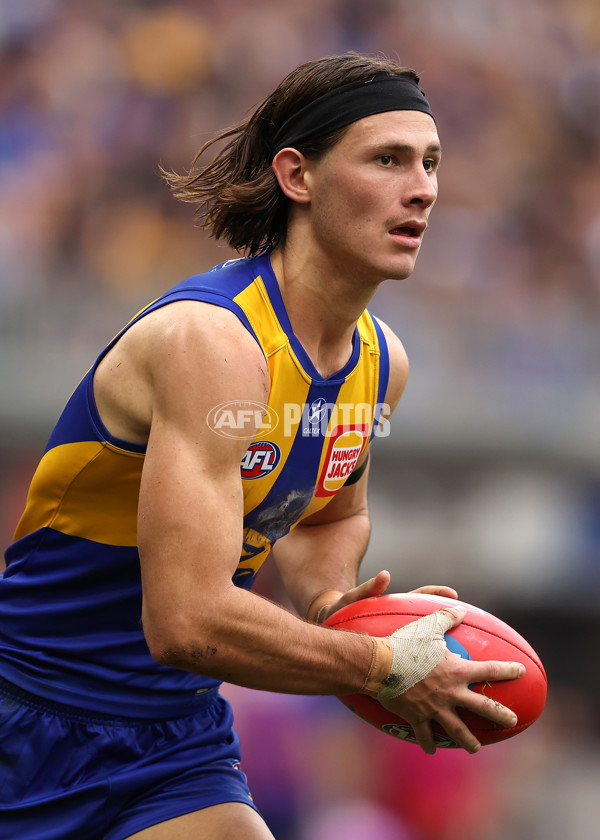 AFL 2024 Round 13 - West Coast v North Melbourne - A-50668304