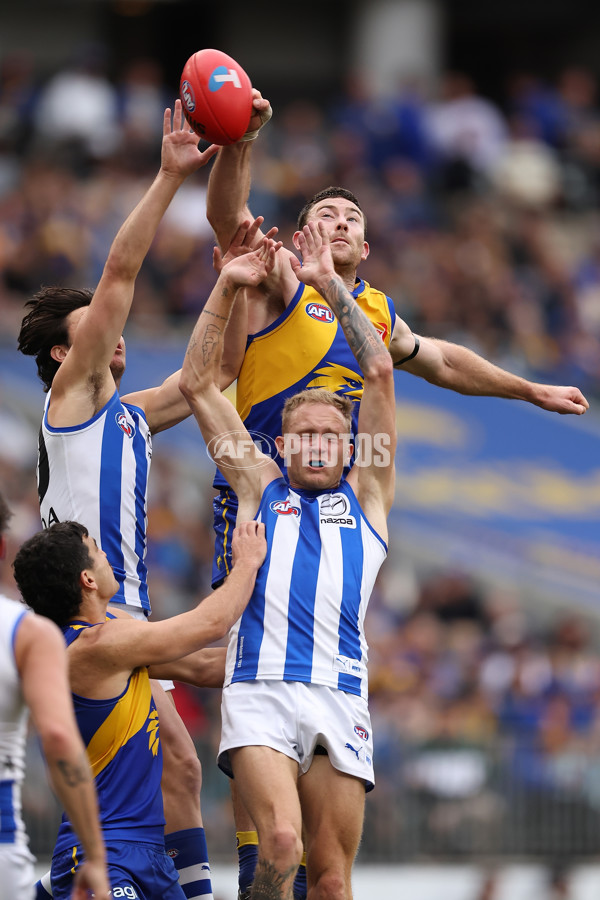 AFL 2024 Round 13 - West Coast v North Melbourne - A-50668307
