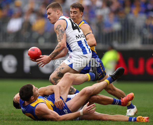 AFL 2024 Round 13 - West Coast v North Melbourne - A-50668310
