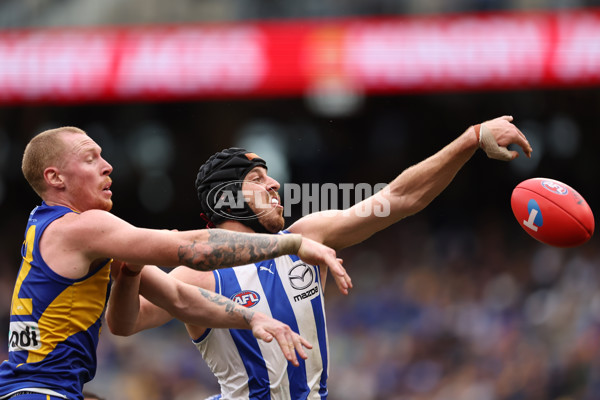 AFL 2024 Round 13 - West Coast v North Melbourne - A-50668311