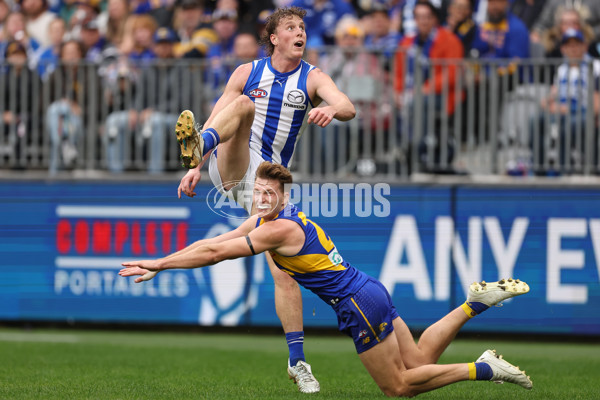 AFL 2024 Round 13 - West Coast v North Melbourne - A-50668334