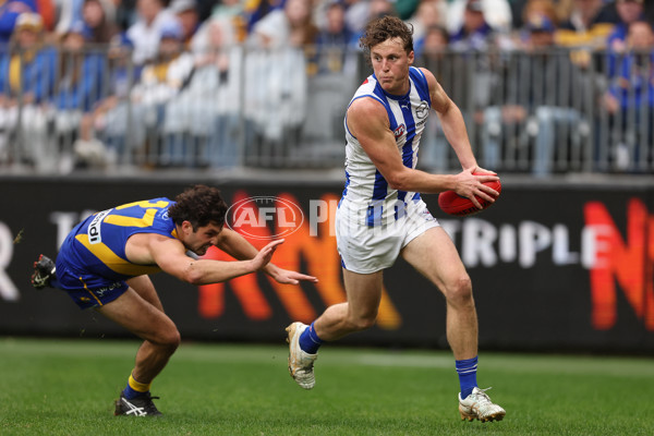 AFL 2024 Round 13 - West Coast v North Melbourne - A-50668345