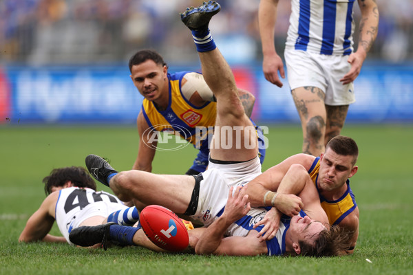 AFL 2024 Round 13 - West Coast v North Melbourne - A-50668349
