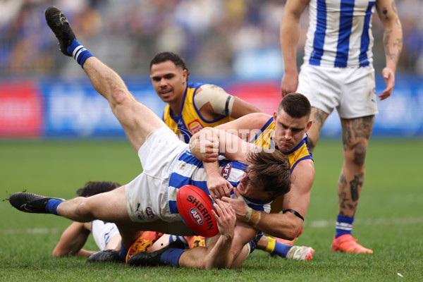 AFL 2024 Round 13 - West Coast v North Melbourne - A-50668350