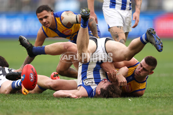 AFL 2024 Round 13 - West Coast v North Melbourne - A-50668351