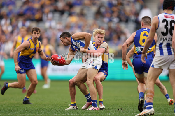 AFL 2024 Round 13 - West Coast v North Melbourne - A-50668354