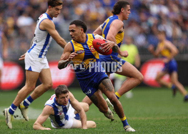 AFL 2024 Round 13 - West Coast v North Melbourne - A-50669277