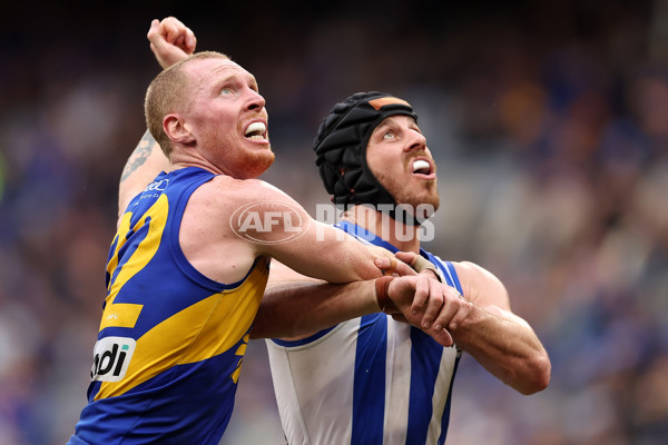 AFL 2024 Round 13 - West Coast v North Melbourne - A-50669279
