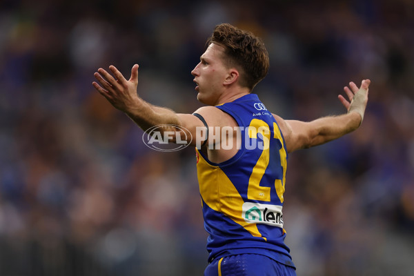 AFL 2024 Round 13 - West Coast v North Melbourne - A-50669363