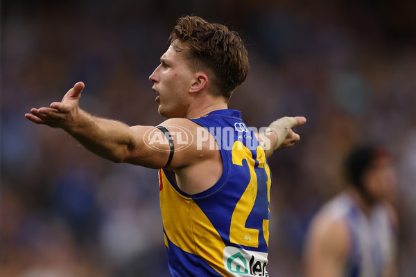 AFL 2024 Round 13 - West Coast v North Melbourne - A-50669364