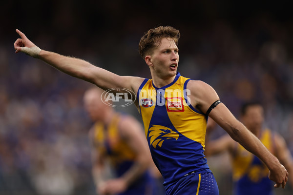 AFL 2024 Round 13 - West Coast v North Melbourne - A-50669365