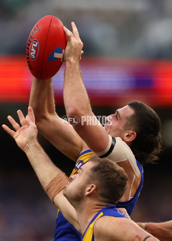 AFL 2024 Round 13 - West Coast v North Melbourne - A-50670707