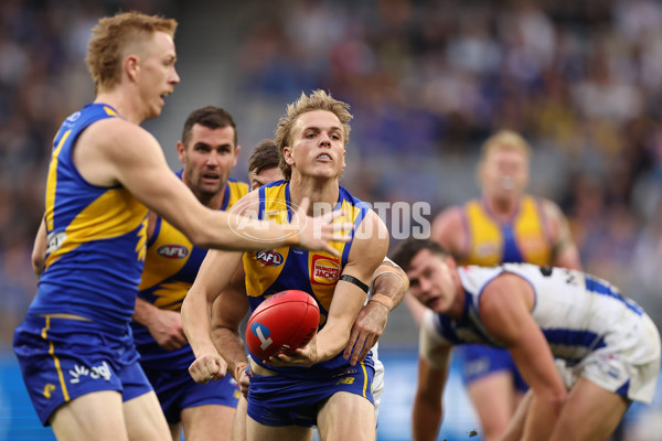 AFL 2024 Round 13 - West Coast v North Melbourne - A-50673614