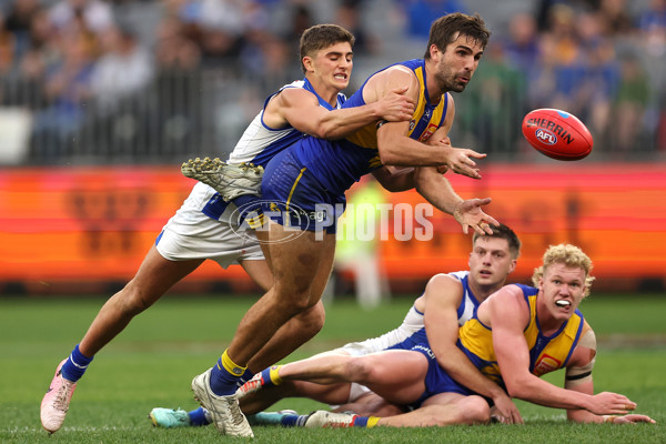 AFL 2024 Round 13 - West Coast v North Melbourne - A-50674767