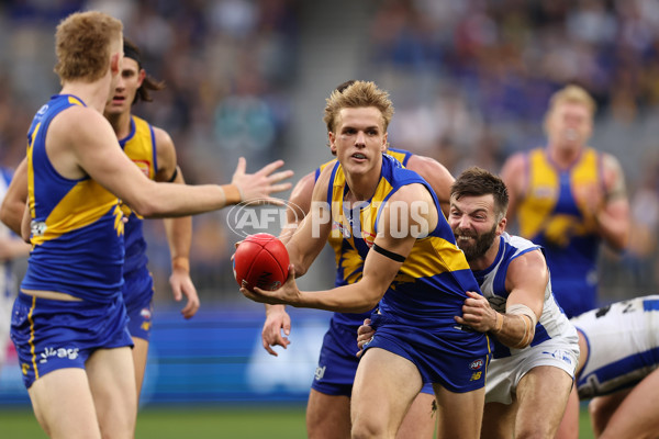AFL 2024 Round 13 - West Coast v North Melbourne - A-50674768