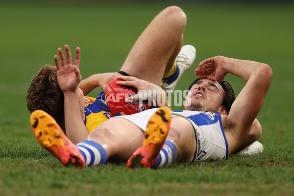 AFL 2024 Round 13 - West Coast v North Melbourne - A-50675847