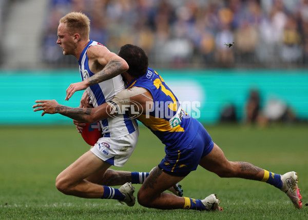 AFL 2024 Round 13 - West Coast v North Melbourne - A-50682787