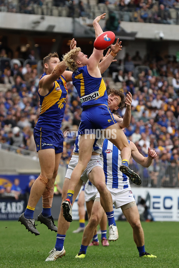 AFL 2024 Round 13 - West Coast v North Melbourne - A-50682796