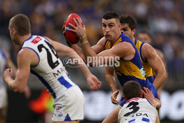 AFL 2024 Round 13 - West Coast v North Melbourne - A-50683923