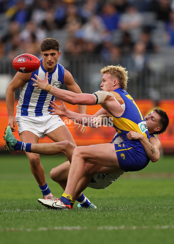 AFL 2024 Round 13 - West Coast v North Melbourne - A-50683943