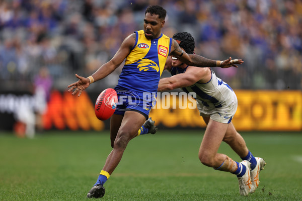 AFL 2024 Round 13 - West Coast v North Melbourne - A-50683945