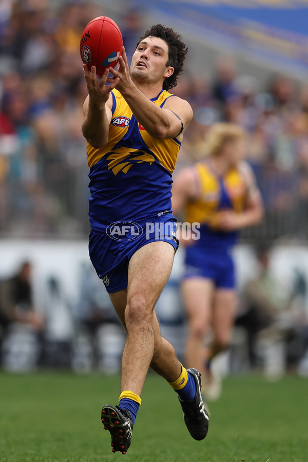AFL 2024 Round 13 - West Coast v North Melbourne - A-50683954