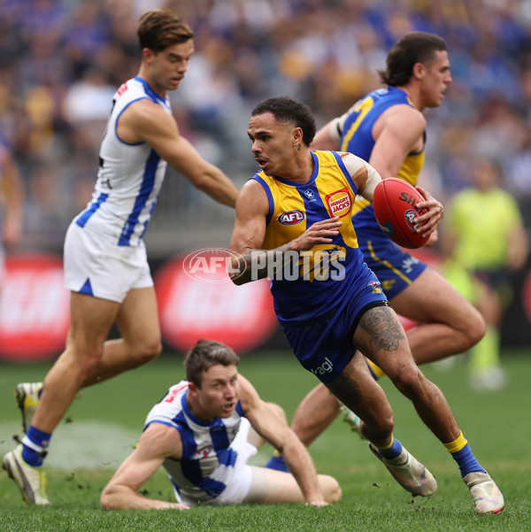 AFL 2024 Round 13 - West Coast v North Melbourne - A-50683955