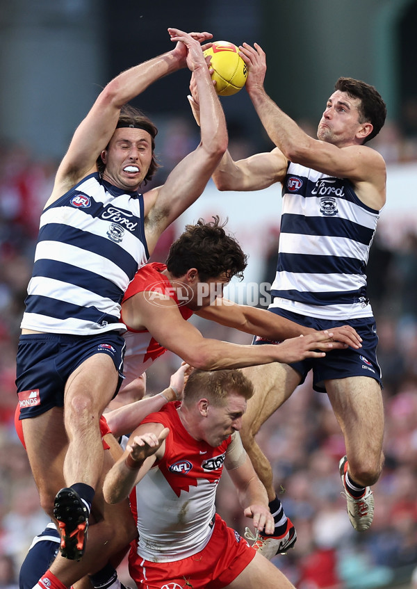 AFL 2024 Round 13 - Sydney v Geelong - A-50692766