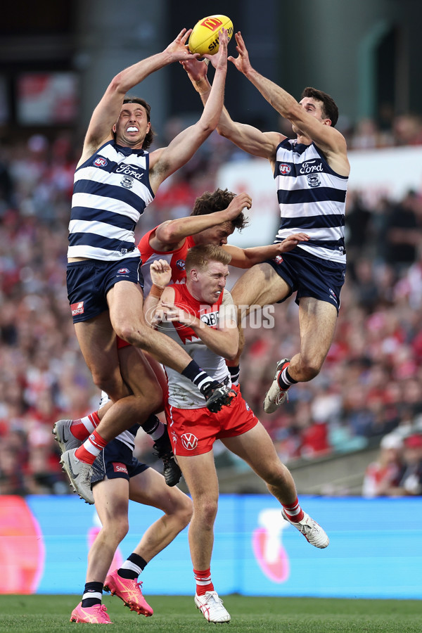 AFL 2024 Round 13 - Sydney v Geelong - A-50692769